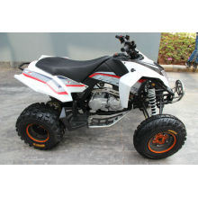 QUAD-BIKES MIT 200CC CVT-MOTOR ZU VERKAUFEN